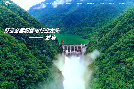 重庆三峡水利电力(集团)股份有限公司