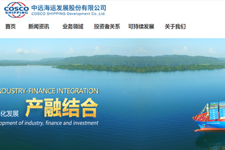 中远海运发展股份有限公司