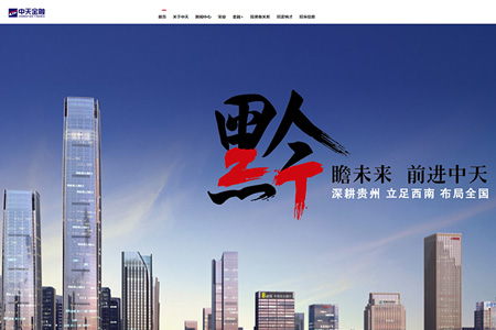中天金融集团股份有限公司​