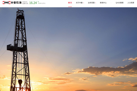 中曼石油天然气集团股份有限公司​