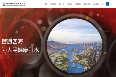 新兴铸管股份有限公司​