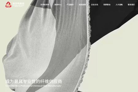 新凤鸣集团股份有限公司​