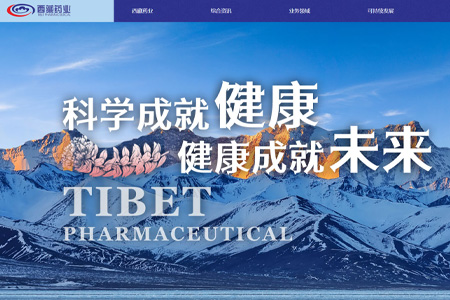 西藏诺迪康药业股份有限公司​