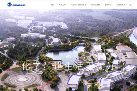 万华化学集团股份有限公司​