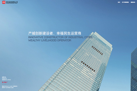 深圳控股有限公司​