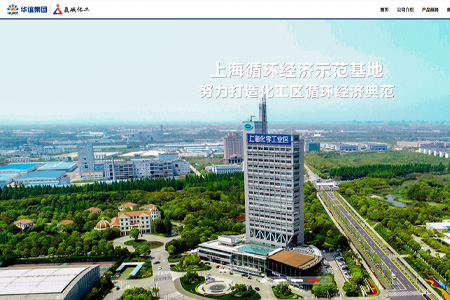 上海氯碱化工股份有限公司​