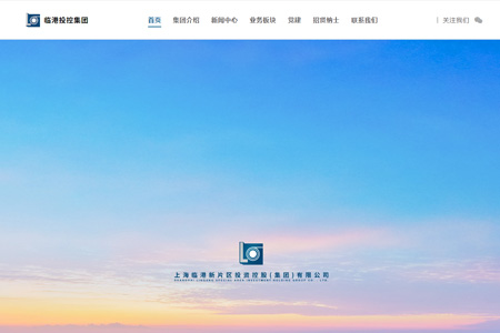 上海临港控股股份有限公司​