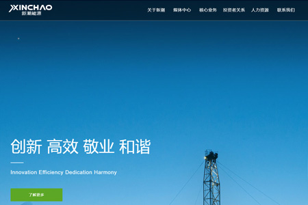 山东新潮能源股份有限公司​