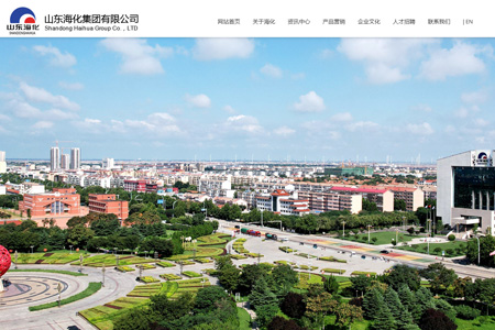 山东海化股份有限公司​