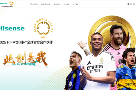 青岛海信电器股份有限公司​
