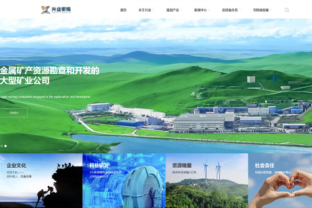 内蒙古兴业银锡矿业股份有限公司​