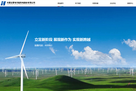 内蒙古蒙电华能热电股份有限公司​