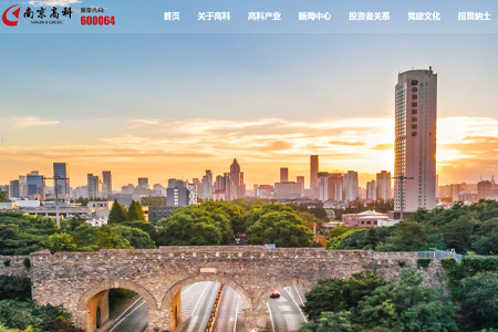 南京钢铁股份有限公司​