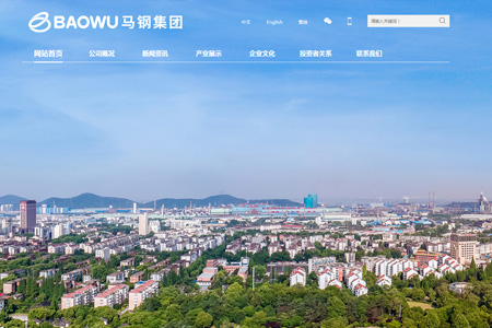 马鞍山钢铁股份有限公司​