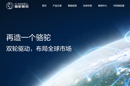 骆驼集团股份有限公司​