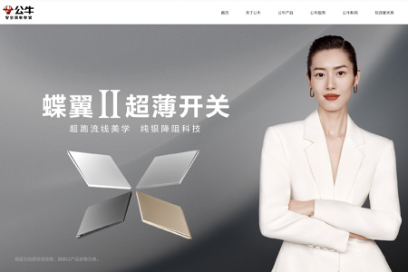 公牛集团股份有限公司​
