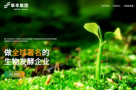 阜丰集团有限公司​