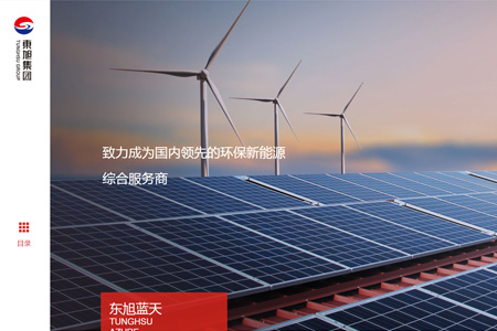 东旭光电科技股份有限公司​