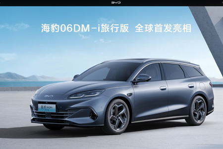 比亚迪股份有限公司​